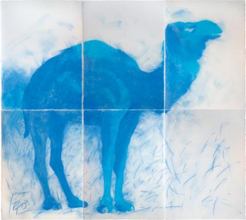 BLUE SKY CAMEL