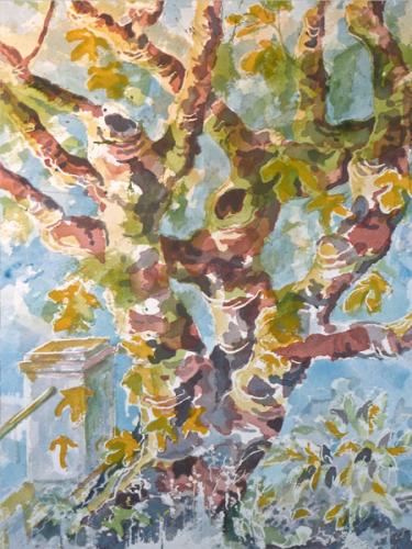 Autumn Fig, Offida, Italy