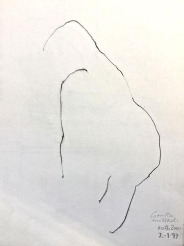 Gorilla missed Melbourne Zoo Australia