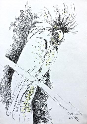 Cockatoo Melbourne Zoo Australia